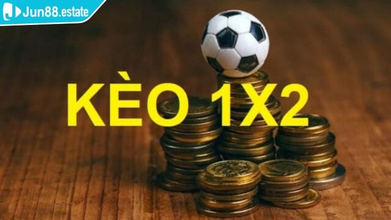 Hướng dẫn đọc chi tiết và hiệu quả 