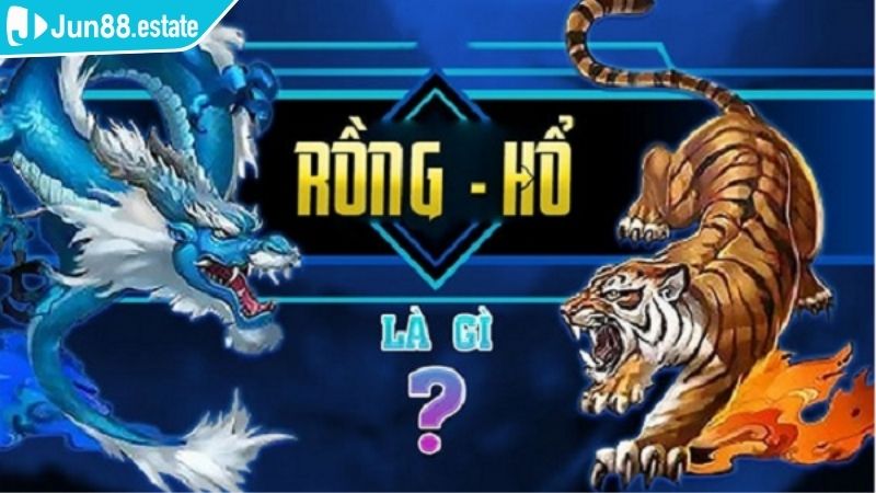 Tổng quan về rồng hổ Jun88