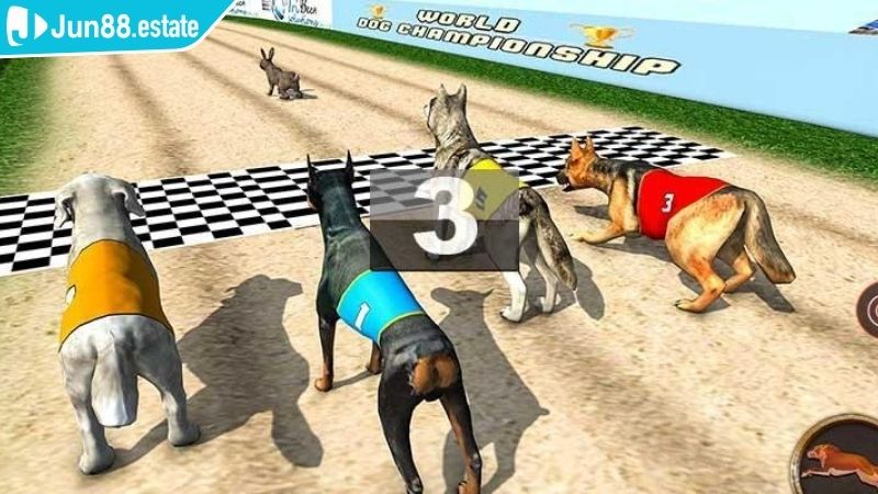 Cá cược đua chó ảo là gì?
