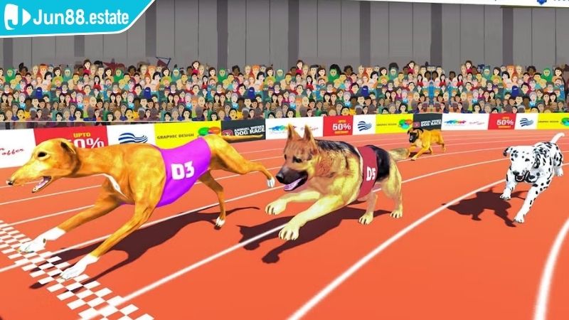 Phân tích dữ liệu