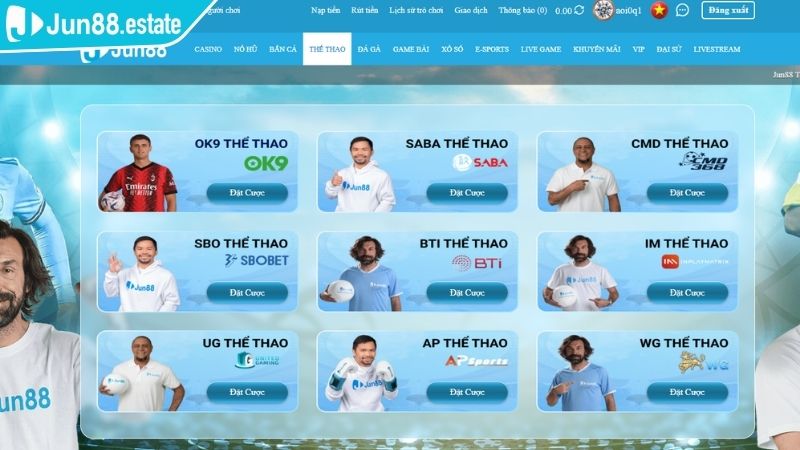 Tìm hiểu về Thể Thao AP JUN88
