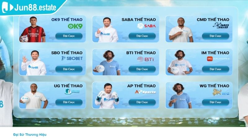 Tổng quan nhà phát hành Thể Thao BTI JUN88
