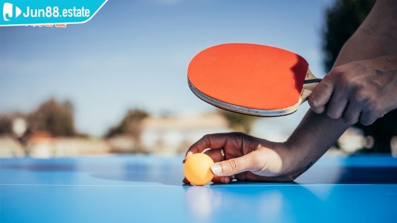 Tham gia cá cược bóng bàn