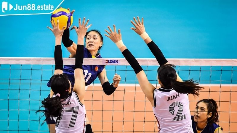 Cược bóng chuyền tại sảnh Thể Thao IM JUN88