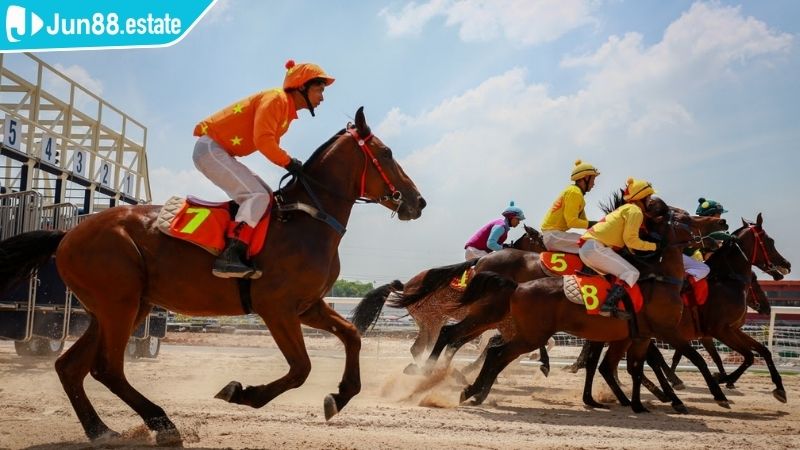 Tham gia đua ngựa trực tuyến