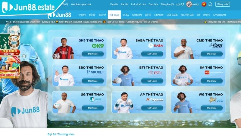 Tổng quan về Thể Thao WG JUN88
